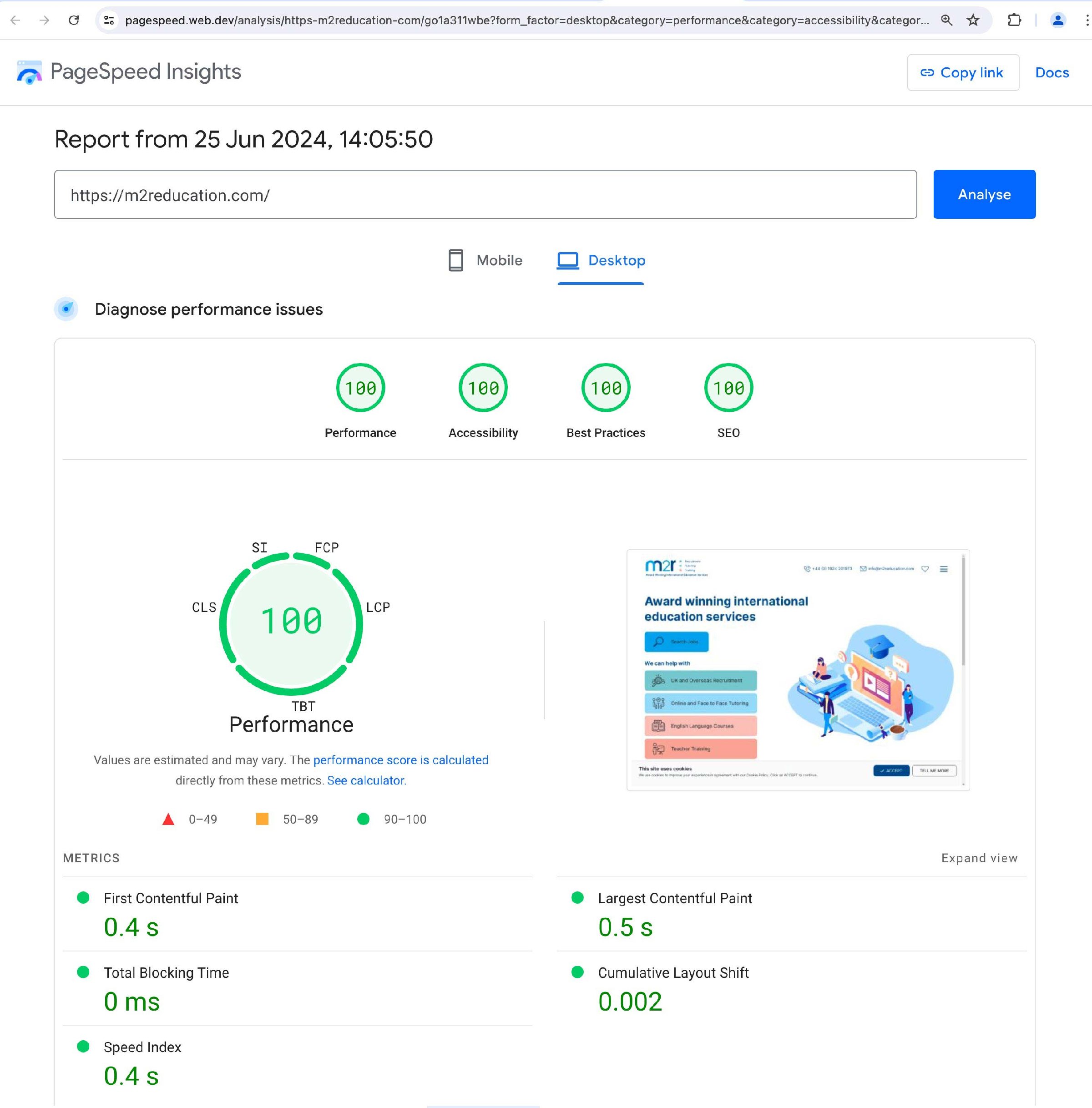 Google Lighthouse Report Panel